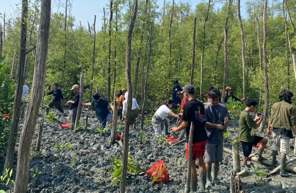 Menjaga Bumi Mulai dari Hulu: Refleksi Hari Mangrove Sedunia